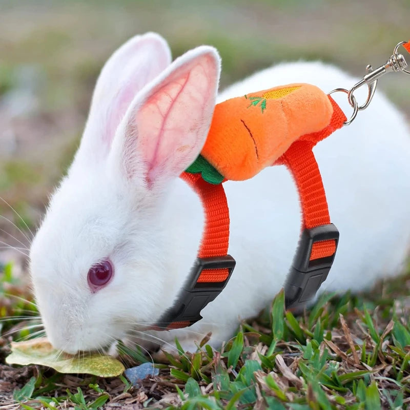 Cartoon Rabbit Harness and Leash Set Walking Adjustable Pet Harnesses for Small Animals Bunny Guinea Pig Mascotas Accessories