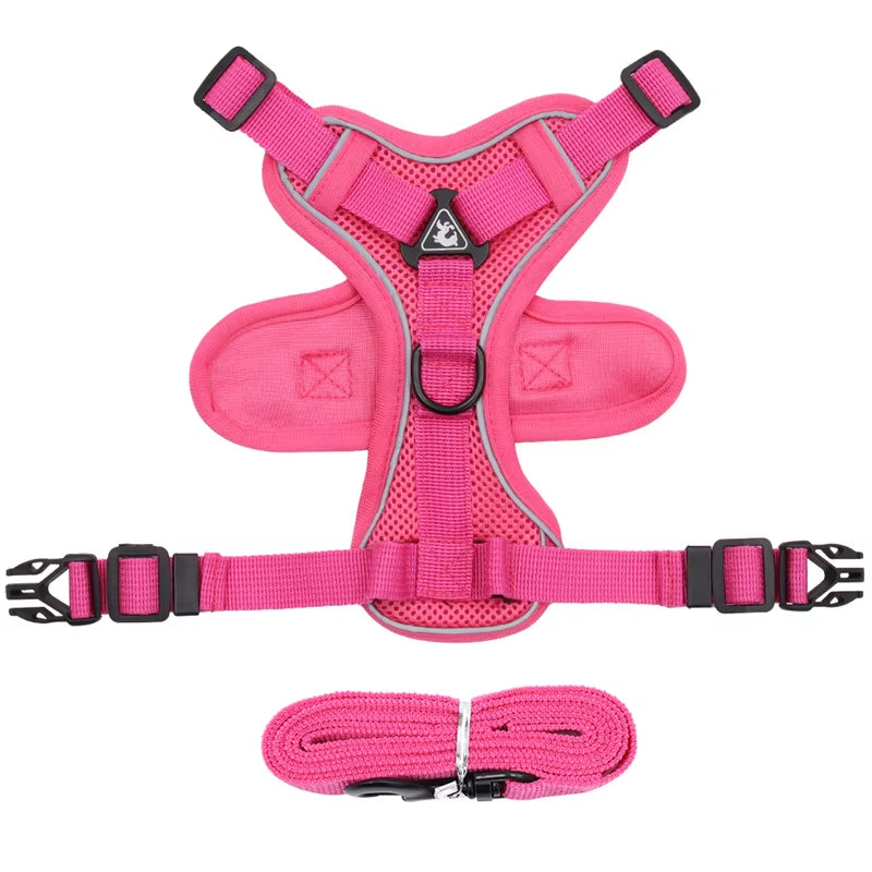 Fashion Reflective Cat/Dog Harness and Leash Sets Breathable Mesh Pet Harnesses for Small Dogs Cats Kitten Accessories Collier Chat