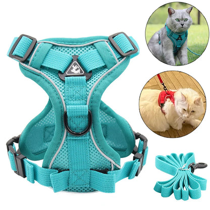 Fashion Reflective Cat/Dog Harness and Leash Sets Breathable Mesh Pet Harnesses for Small Dogs Cats Kitten Accessories Collier Chat