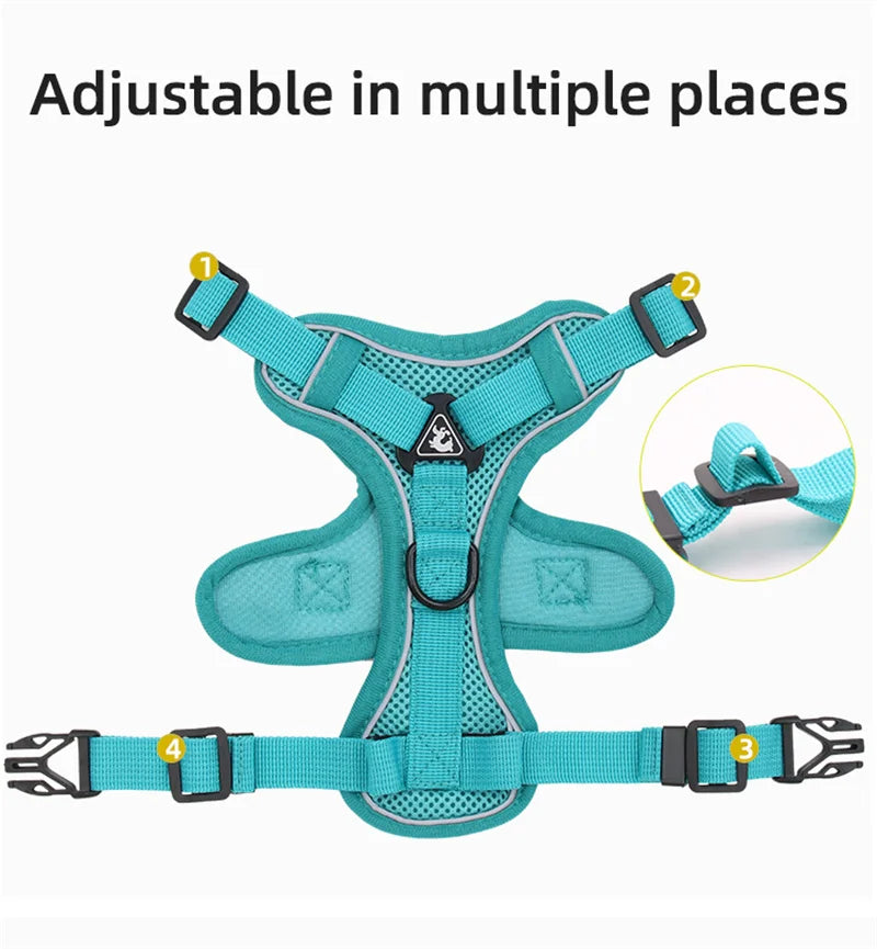 Fashion Reflective Cat/Dog Harness and Leash Sets Breathable Mesh Pet Harnesses for Small Dogs Cats Kitten Accessories Collier Chat