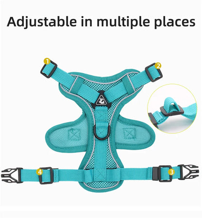 Fashion Reflective Cat/Dog Harness and Leash Sets Breathable Mesh Pet Harnesses for Small Dogs Cats Kitten Accessories Collier Chat