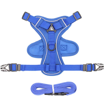 Fashion Reflective Cat/Dog Harness and Leash Sets Breathable Mesh Pet Harnesses for Small Dogs Cats Kitten Accessories Collier Chat