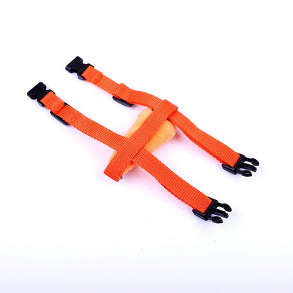 Cartoon Rabbit Harness and Leash Set Walking Adjustable Pet Harnesses for Small Animals Bunny Guinea Pig Mascotas Accessories
