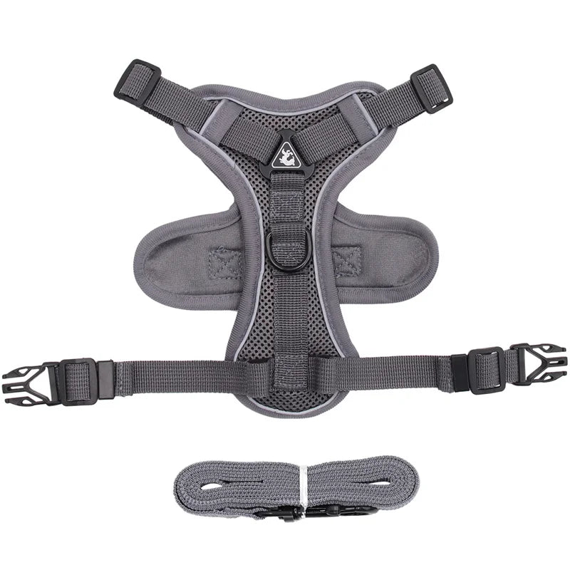 Fashion Reflective Cat/Dog Harness and Leash Sets Breathable Mesh Pet Harnesses for Small Dogs Cats Kitten Accessories Collier Chat