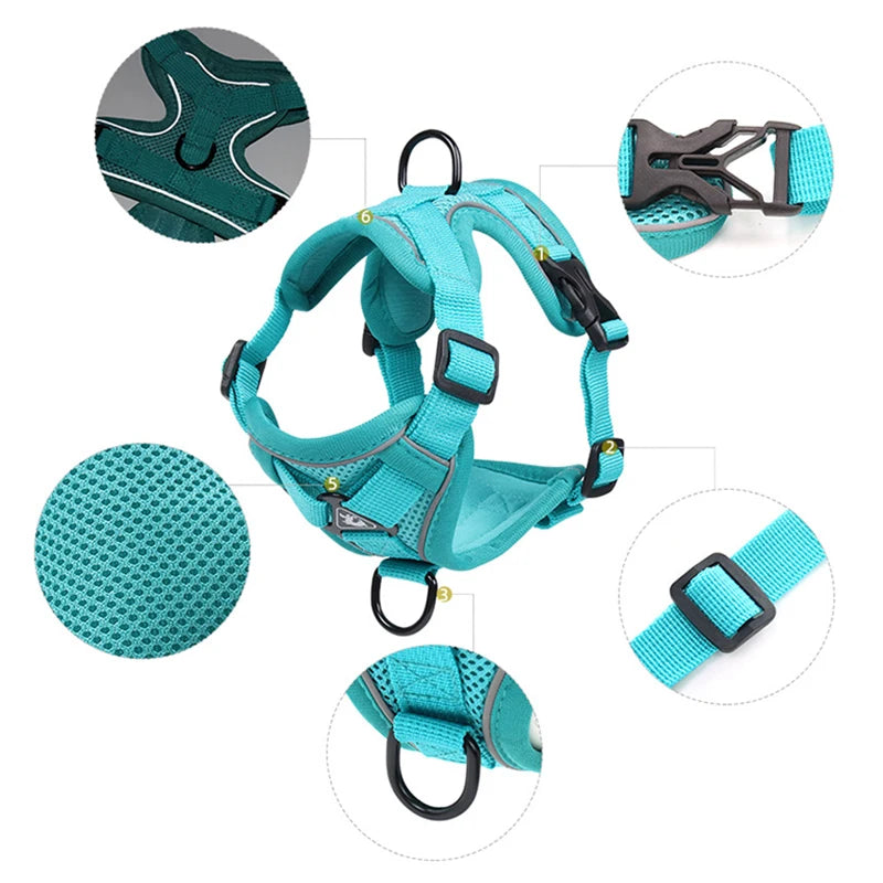 Fashion Reflective Cat/Dog Harness and Leash Sets Breathable Mesh Pet Harnesses for Small Dogs Cats Kitten Accessories Collier Chat