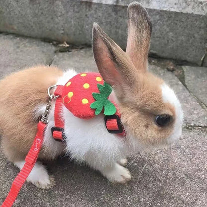 Cartoon Rabbit Harness and Leash Set Walking Adjustable Pet Harnesses for Small Animals Bunny Guinea Pig Mascotas Accessories
