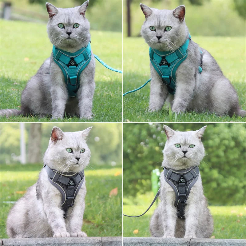 Fashion Reflective Cat/Dog Harness and Leash Sets Breathable Mesh Pet Harnesses for Small Dogs Cats Kitten Accessories Collier Chat