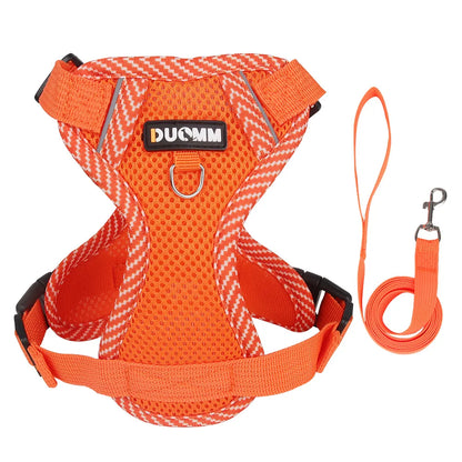 Fashion Reflective Cat/Dog Harness and Leash Sets Breathable Mesh Pet Harnesses for Small Dogs Cats Kitten Accessories Collier Chat