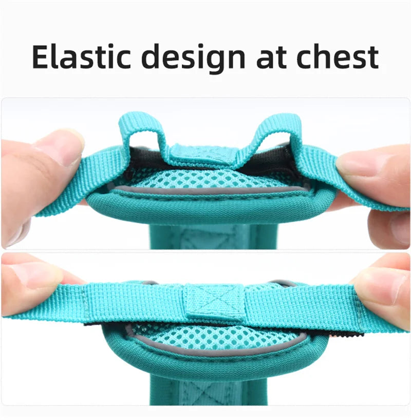 Fashion Reflective Cat/Dog Harness and Leash Sets Breathable Mesh Pet Harnesses for Small Dogs Cats Kitten Accessories Collier Chat