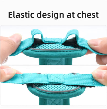 Fashion Reflective Cat/Dog Harness and Leash Sets Breathable Mesh Pet Harnesses for Small Dogs Cats Kitten Accessories Collier Chat